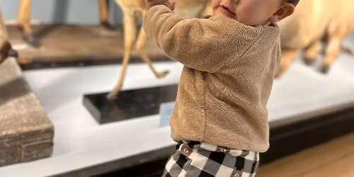 Mini Museum Explorers