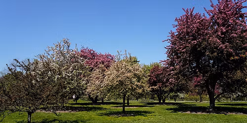 Garden Tour: Spring Highlights