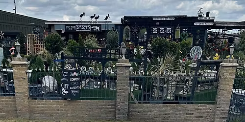 Elm farm grand Christmas opening nite