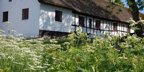 Herreg\u00e5rdenes dag p\u00e5 Hessel