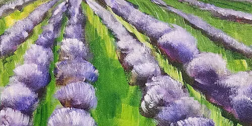 Lavendar Fields Forever!