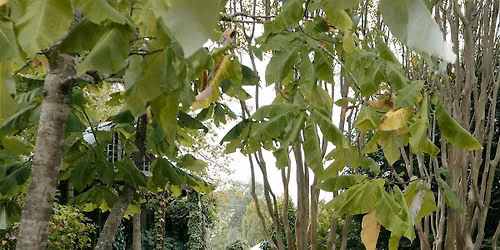 Is Your Garden a Year-Round Restaurant? Seasonal Wildlife Food Sources