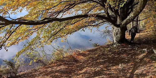 Melrose and Abbotsford circular