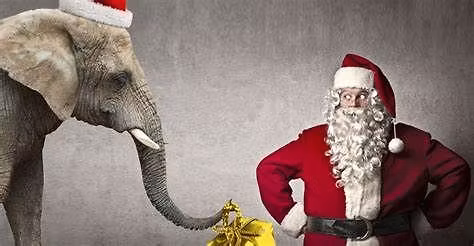 Annual Christmas Party and White Elephant Gift Exchange