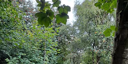 MTB Dig-day at Dalby Forest with SingletrAction