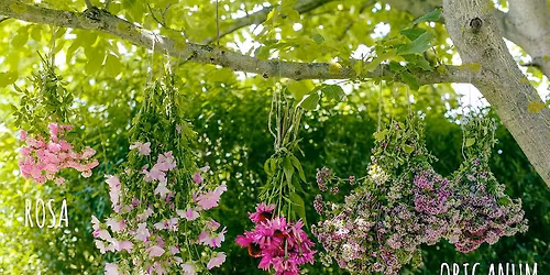 Kurz gemmoterapie a Bachových esencí