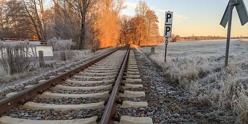 Bl\u00fchende Radeberger Stra\u00dfe 