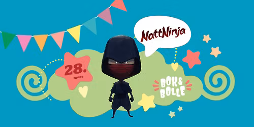 Bok & Bolle: Nattninja