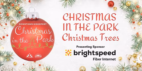 Christmas in the Park Christmas Trees