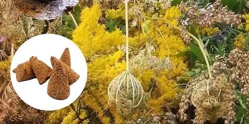 Zio\u0142owe kadzid\u0142a