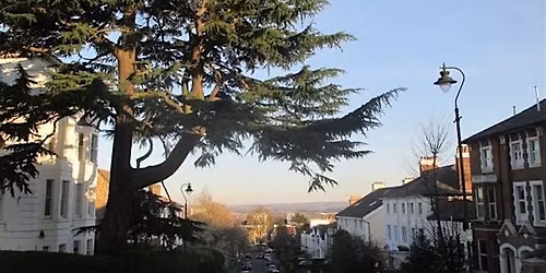 Walking Tour - Hitting the Heights: the history of Crystal Palace