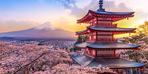 Cherry Blossoms in Japan! The Golden Triangle - Tokyo, Kyoto, Osaka and more!