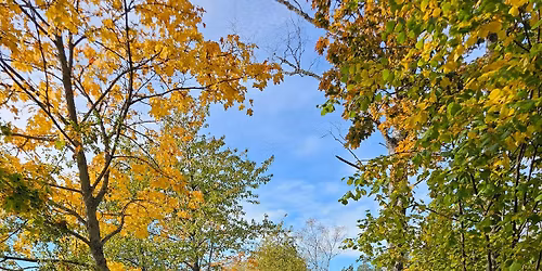 D\u00d6DSNACK - Death over Dinner 