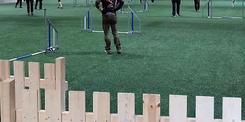 Konkurransetrening i agility, bl\u00e5b\u00e6rbaner