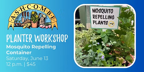 Mosquito Repelling Container Garden
