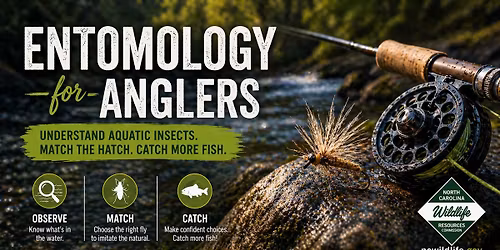 Entomology for Anglers 