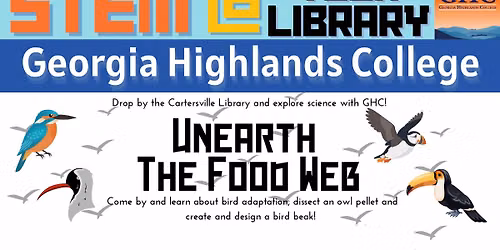 STEM @ Your Library - Unearth the Food Web