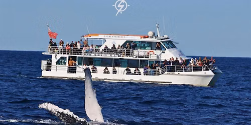 Sydney Whale Watching Cruise