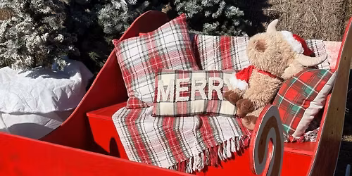 Sleigh at the Homestead