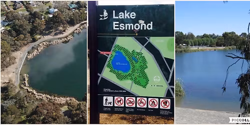 Wednesday 10am Lake Esmond Outdoor Walk (lower level of parkland)