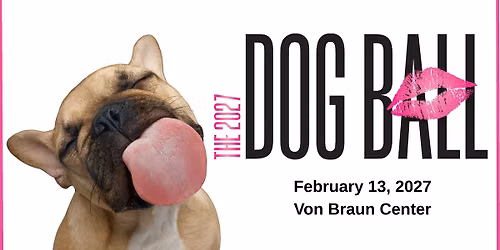 The 2027 Dog Ball