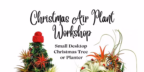 Christmas Air Plant Workshop