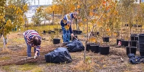 Fruit Trees That Flourish: A Hands-On Home Gardener\u2019s Workshop