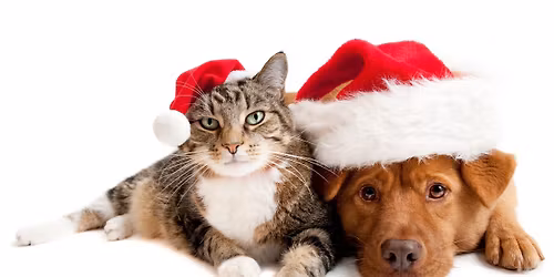 Paws & Claus: Holiday Food & Supply Drive for C.A.R.E.