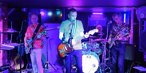 The Polaroidz playing at the Biggleswade Conservative Club