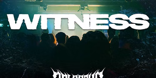Witness