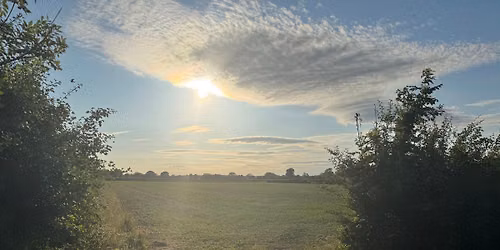 August Evening Walk -Tockwith - 5miles\/8km