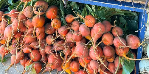 Vail Farmers Market & Art Show
