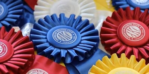 WAG November AKC Agility Trial 