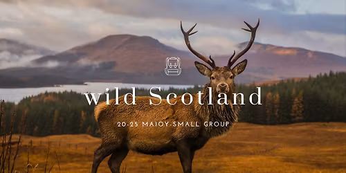 \u26f0\ufe0fA\u03b3\u03c1\u03b9\u03b1 \u03a3\u03ba\u03c9\u03c4\u03af\u03b1 - \u0395\u03b4\u03b9\u03bc\u03b2\u03bf\u03cd\u03c1\u03b3\u03bf & Highlands!