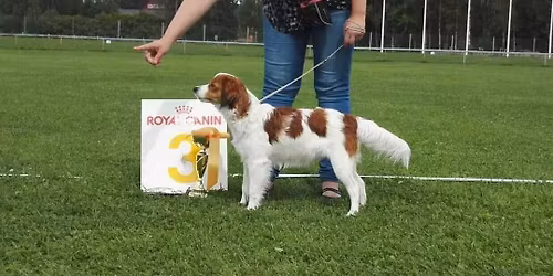 Tuki Match show 3.5.2026