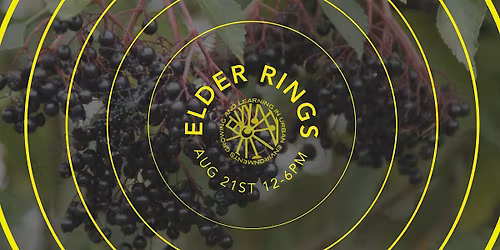 Elder Rings