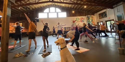 Puppy Yoga at Timberyard