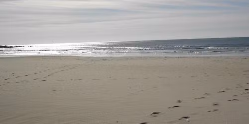 BEACH CLEANUP STROLL 