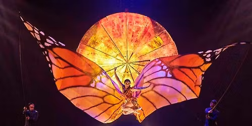 Cirque du Soleil 2026: LUZIA in Miami