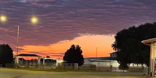 60th GFSC State Horse Championship Show