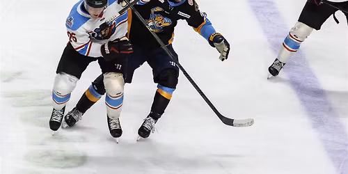 ECHL Central Division Semifinals: Toledo Walleye vs. Bloomington Bison - Home Game 3  Series Game 6 (If Necessary)
