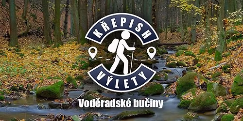 T\u00fara Vod\u011bradsk\u00e9 bu\u010diny