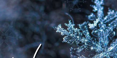 Winter Solstice Yoga with Lynn