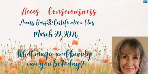 Access Bars Certification Class