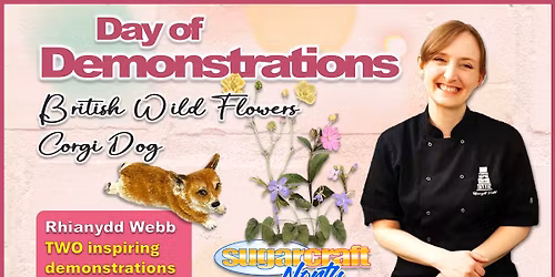Day of Demonstrations with Rhianydd Webb