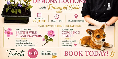 Day of Demonstrations with Rhianydd Webb