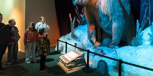 Fun Friday - The Great Ground Sloth