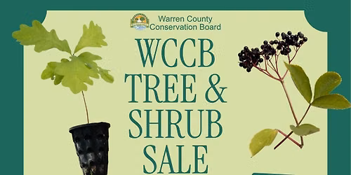 Tree & Shrub Sale