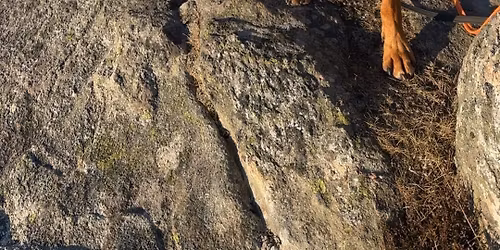 Tur i Kanadaskogen \ud83d\udc36\ud83d\udc3e