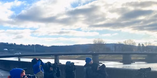 Field Trip-Downtown Elmira